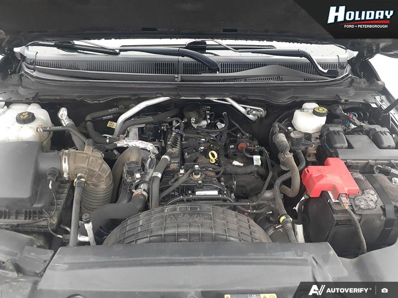 2020 Ford Ranger XLT Photo