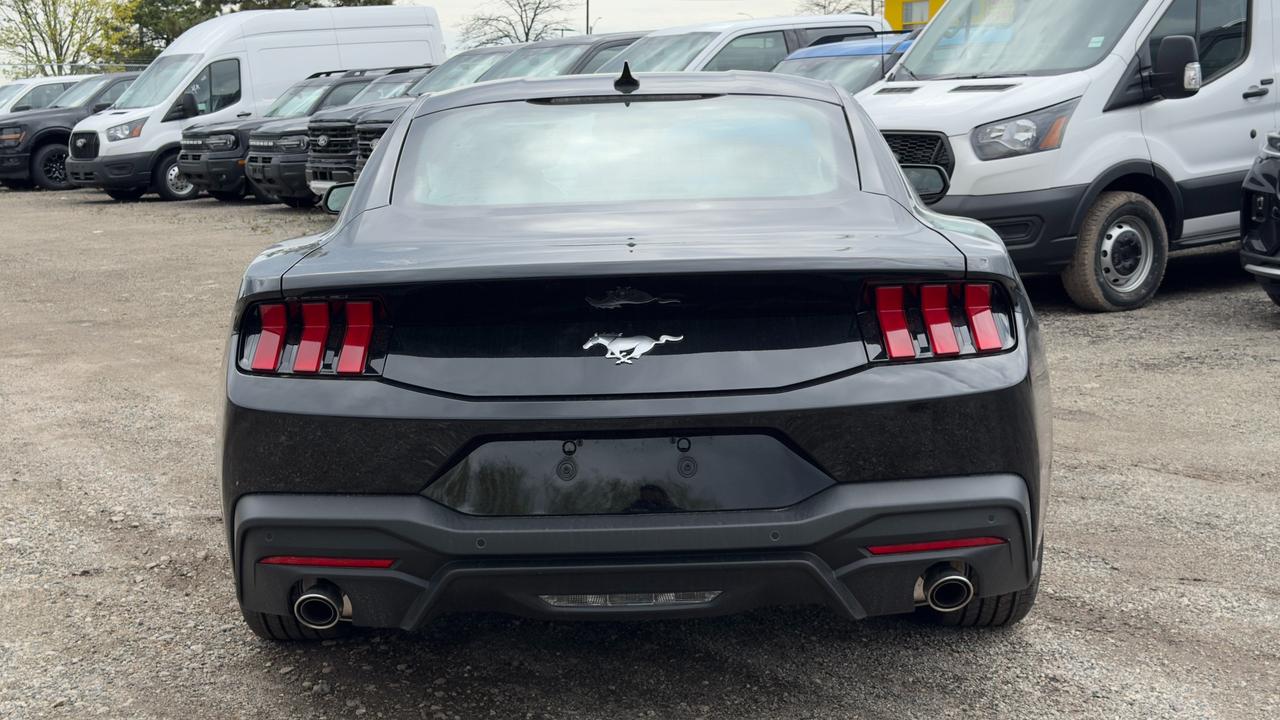 2026 Ford Mustang EcoBoost Fastback Photo