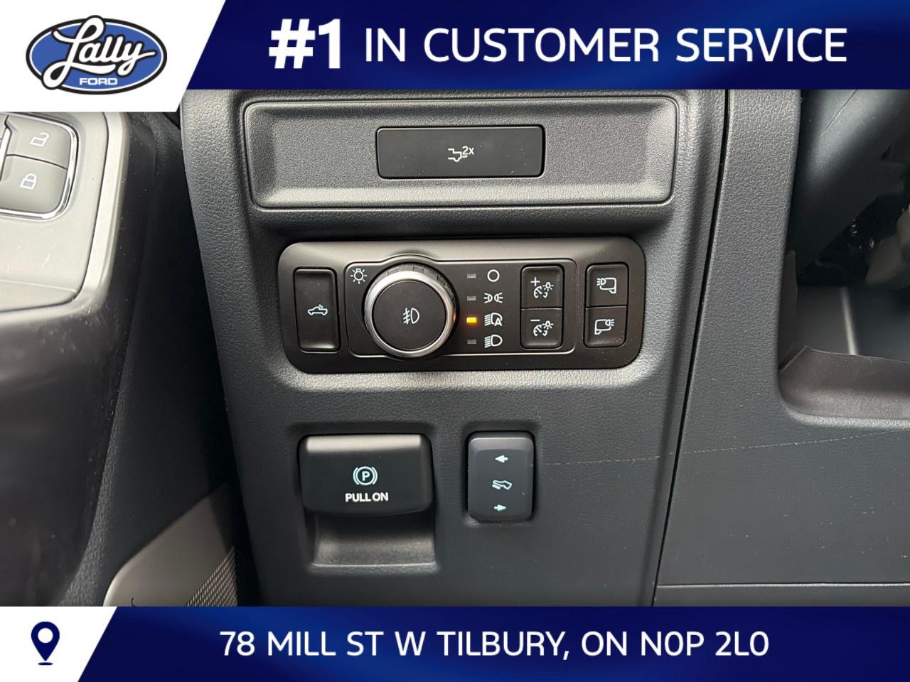 2026 Ford F-150 Tremor 4WD SuperCrew 5.5' Box Photo