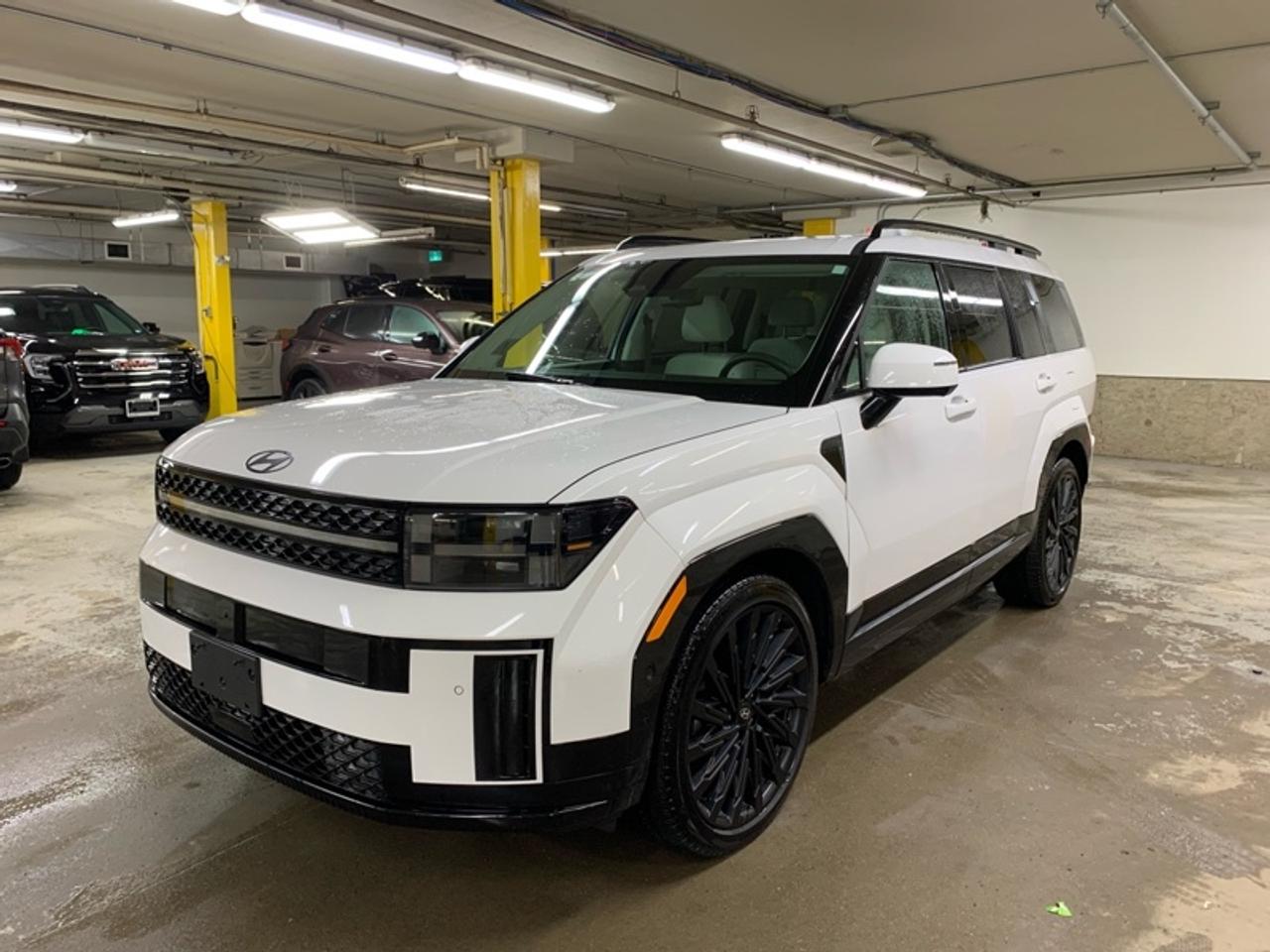 2025 Hyundai Santa Fe Ultimate Calligraphy AWD w/Beige Interior Photo