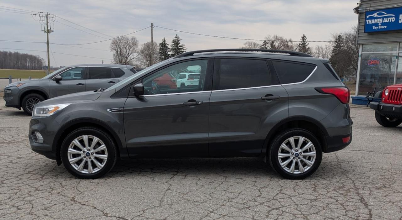 2019 Ford Escape SEL Photo