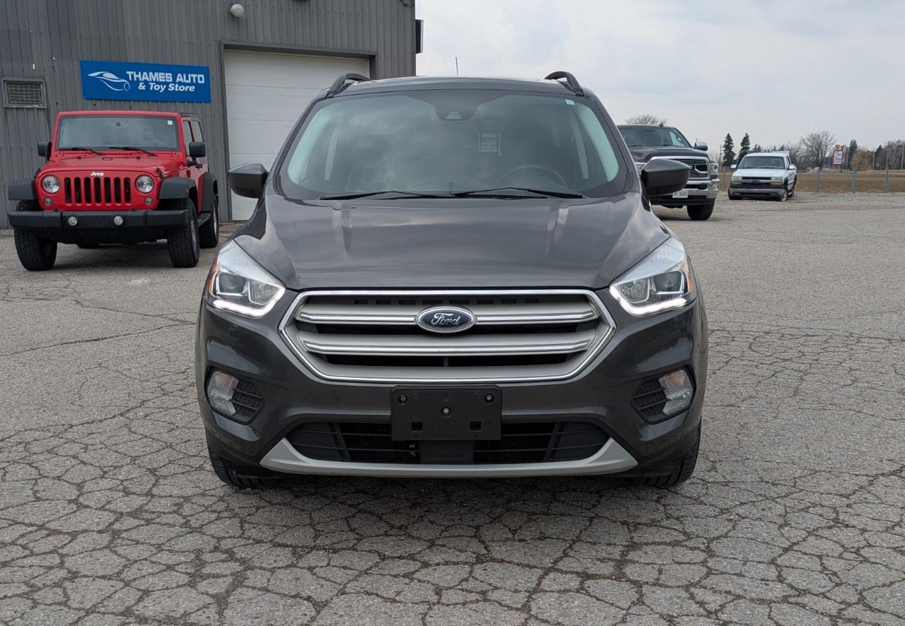 2019 Ford Escape SEL Photo