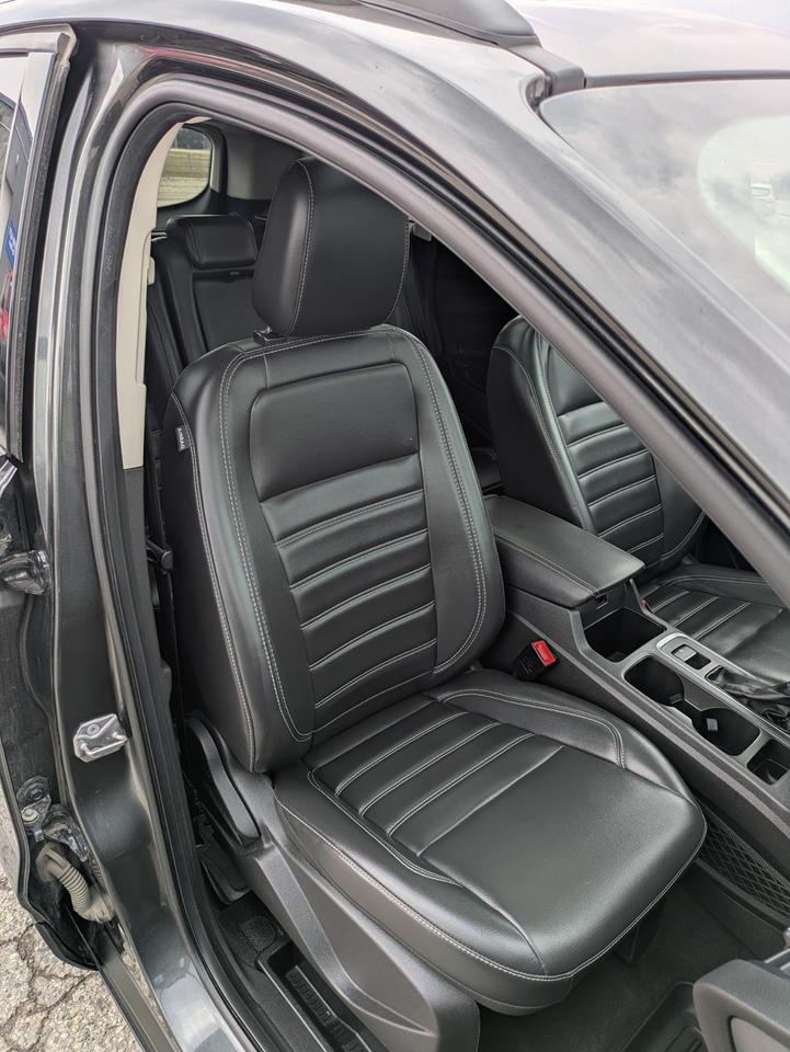2019 Ford Escape SEL Photo
