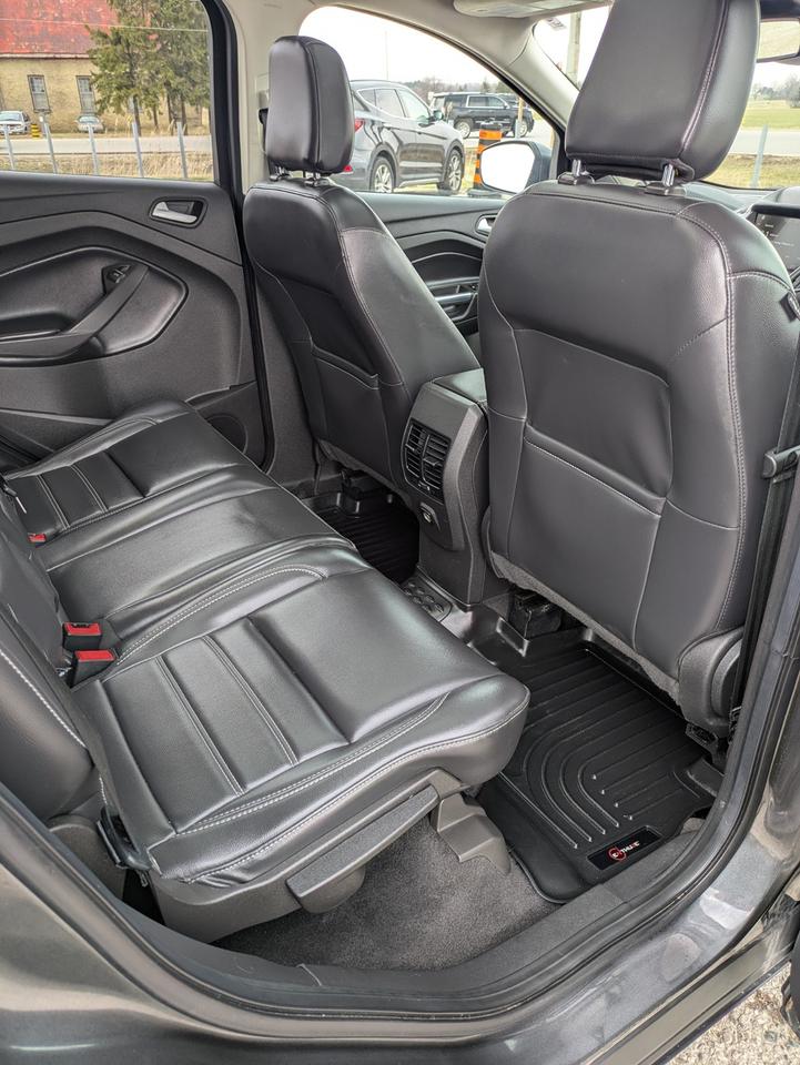 2019 Ford Escape SEL Photo