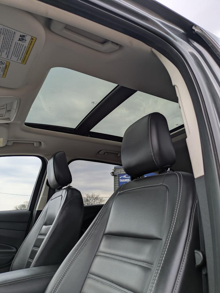 2019 Ford Escape SEL Photo