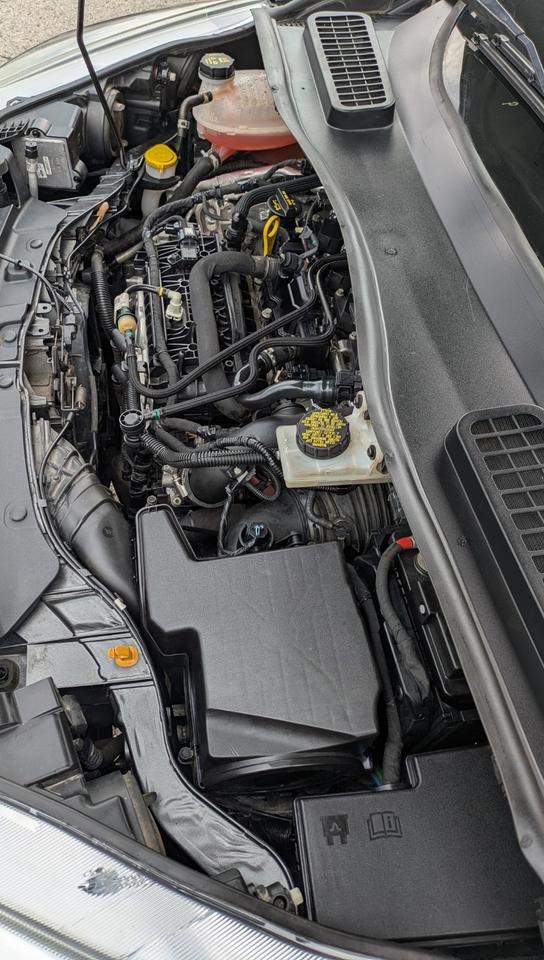 2019 Ford Escape SEL Photo