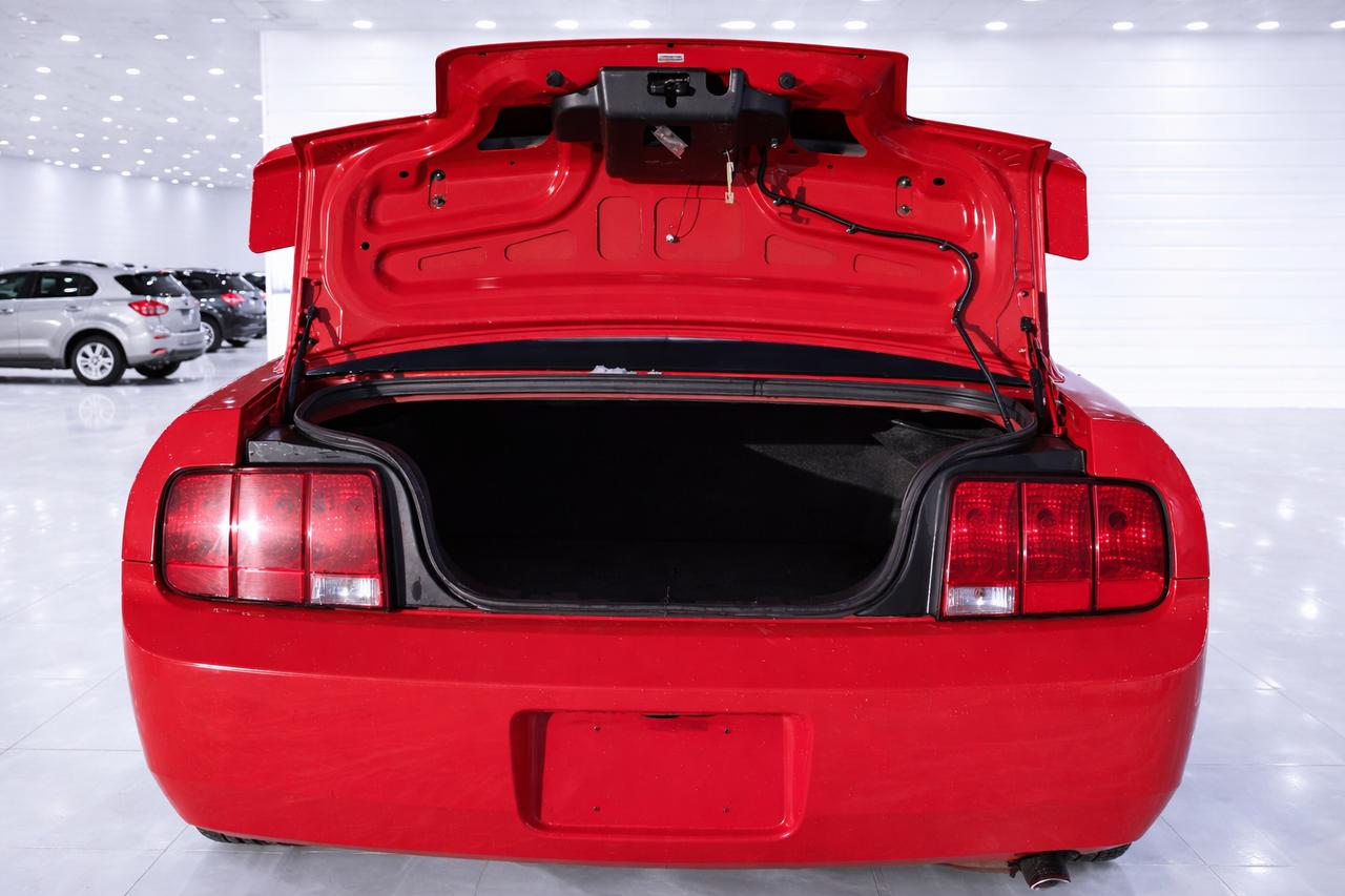 2008 Ford Mustang  Photo