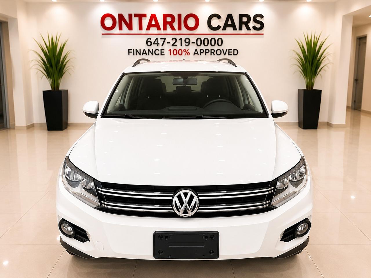 2015 Volkswagen Tiguan Trendline Photo