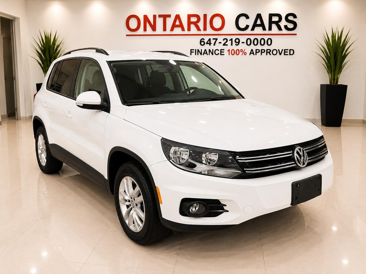 2015 Volkswagen Tiguan Trendline Photo