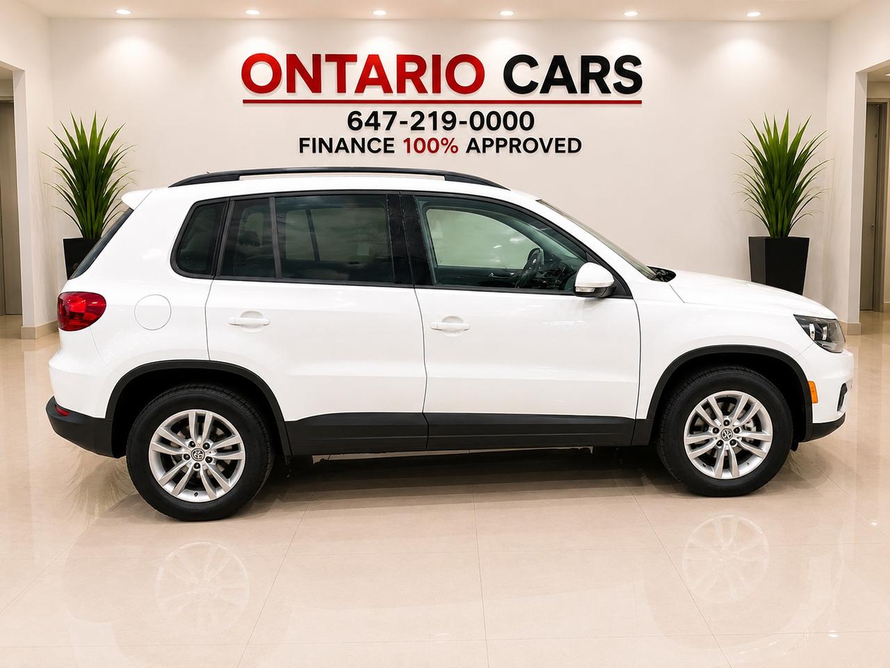 2015 Volkswagen Tiguan Trendline Photo