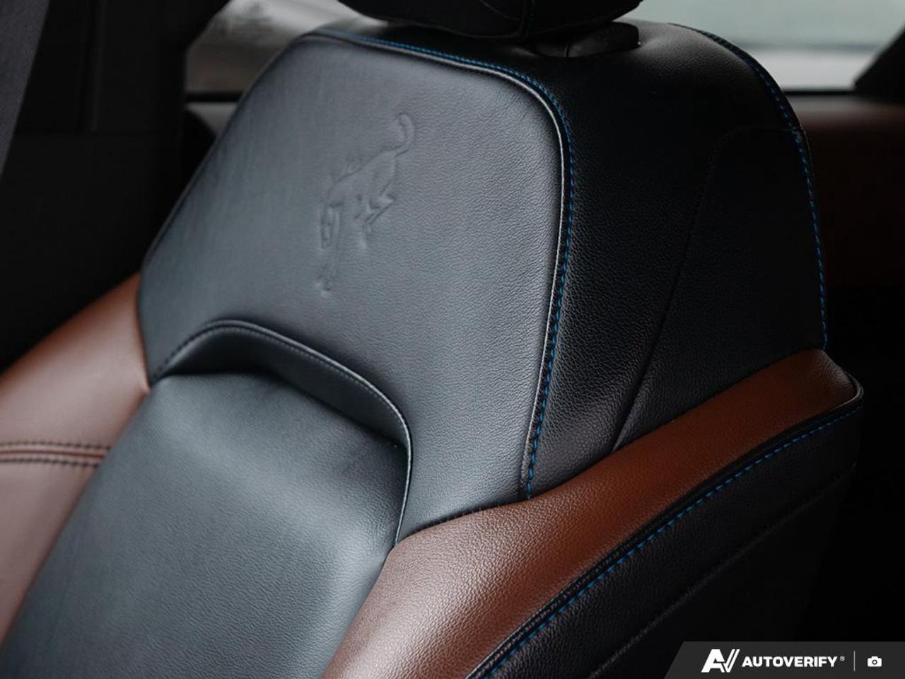 2024 Ford Bronco Outer Banks Photo