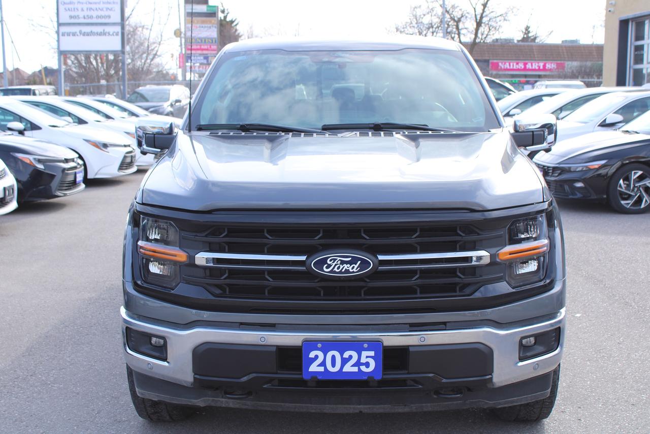 2025 Ford F-150 XLT 4WD SuperCrew 6.5' Box Photo