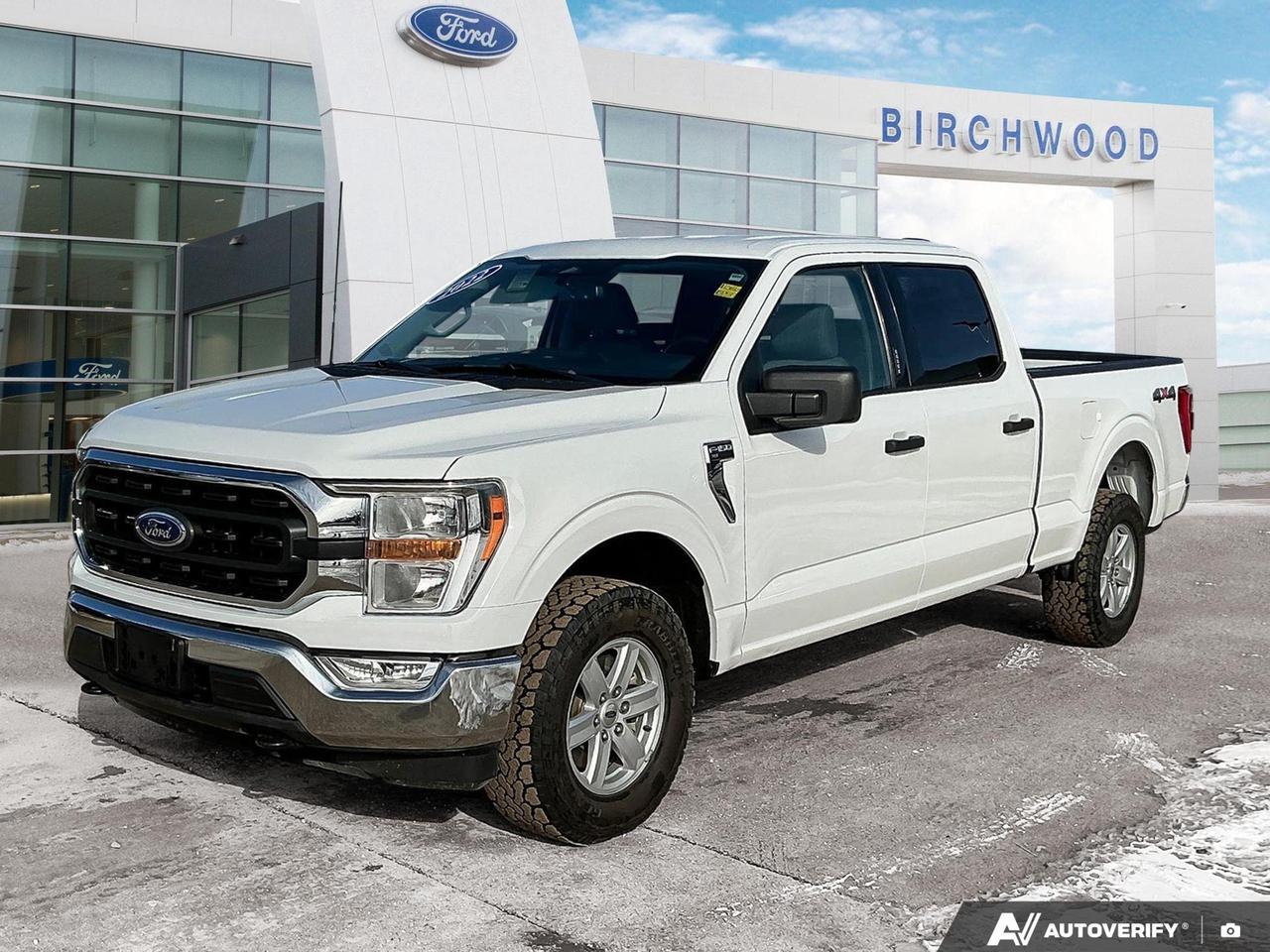 Experience the power and versatility of this 2022 Ford F-150 XLT, perfect for both work and play. With only 32,016 km on the odometer, this truck is ready for many more adventures to come.

- 3.5L V6 engine with 4WD capability
- Spacious crew cab with seating for 6
- FordPass Connect 4G Mobile Hotspot for on-the-go connectivity
- Advanced safety features including Safety Canopy System
- Electric Power-Assist Speed-Sensing Steering for improved handling
- 6.5-foot box for ample cargo space
- Accident-free history for peace of mind

Dont miss out on this exceptional F-150. Visit Birchwood Ford today to schedule a test drive and experience the perfect blend of power, comfort, and technology. Our team is ready to answer any questions and help you start your journey with this impressive truck. Reserve your spot now or begin your purchase process online for a seamless experience.
Birchwood Ford on Regent is the Home of Market Value Pricing.


Reconditioning our Pre-Owned Inventory is a source of pride for us! We complete an extremely thorough process both mechanically and cosmetically before it passes our standard. Our customers can shop with confidence knowing Birchwood Ford has won AutoTraders 2024 Best Priced Dealer Award. Transparency is what you deserve! 

When purchasing a pre-owned vehicle from us we will share all of the information on the vehicle. Including CARFAX, a copy of all the inspections we performed, a copy of the invoices showing you exactly what we did & spent on reconditioning the vehicle.



Call us at 204-661-9555or go to WWW.BIRCHWOODFORD.CA to browse our inventory! 

People who Try Birchwood Ford Buy from Birchwood Ford!   

       

Dealer permit #4454
Dealer permit #4454