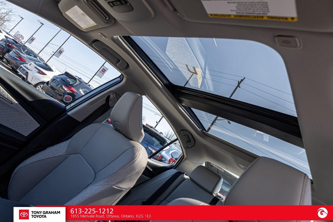 2026 Toyota Camry XLE Photo