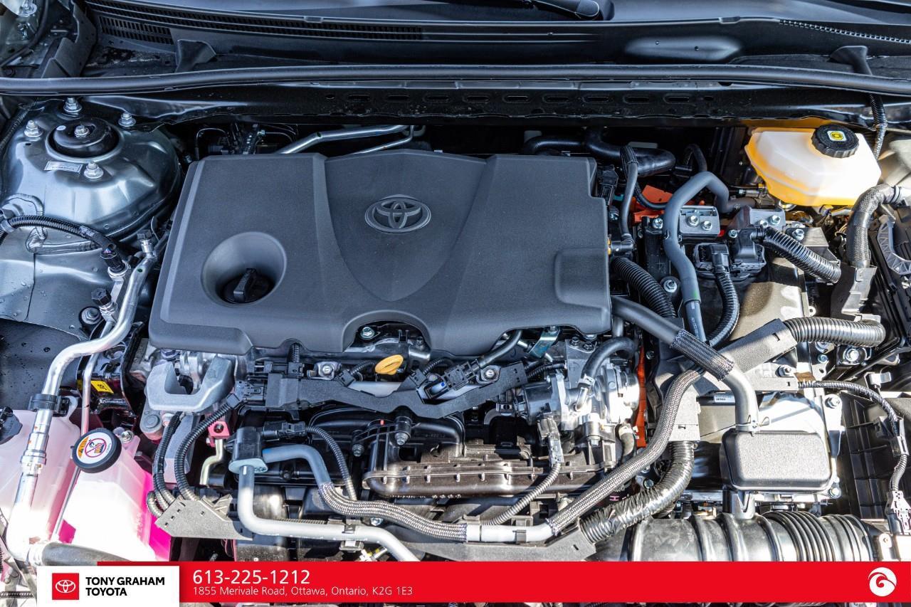 2026 Toyota Camry XLE Photo