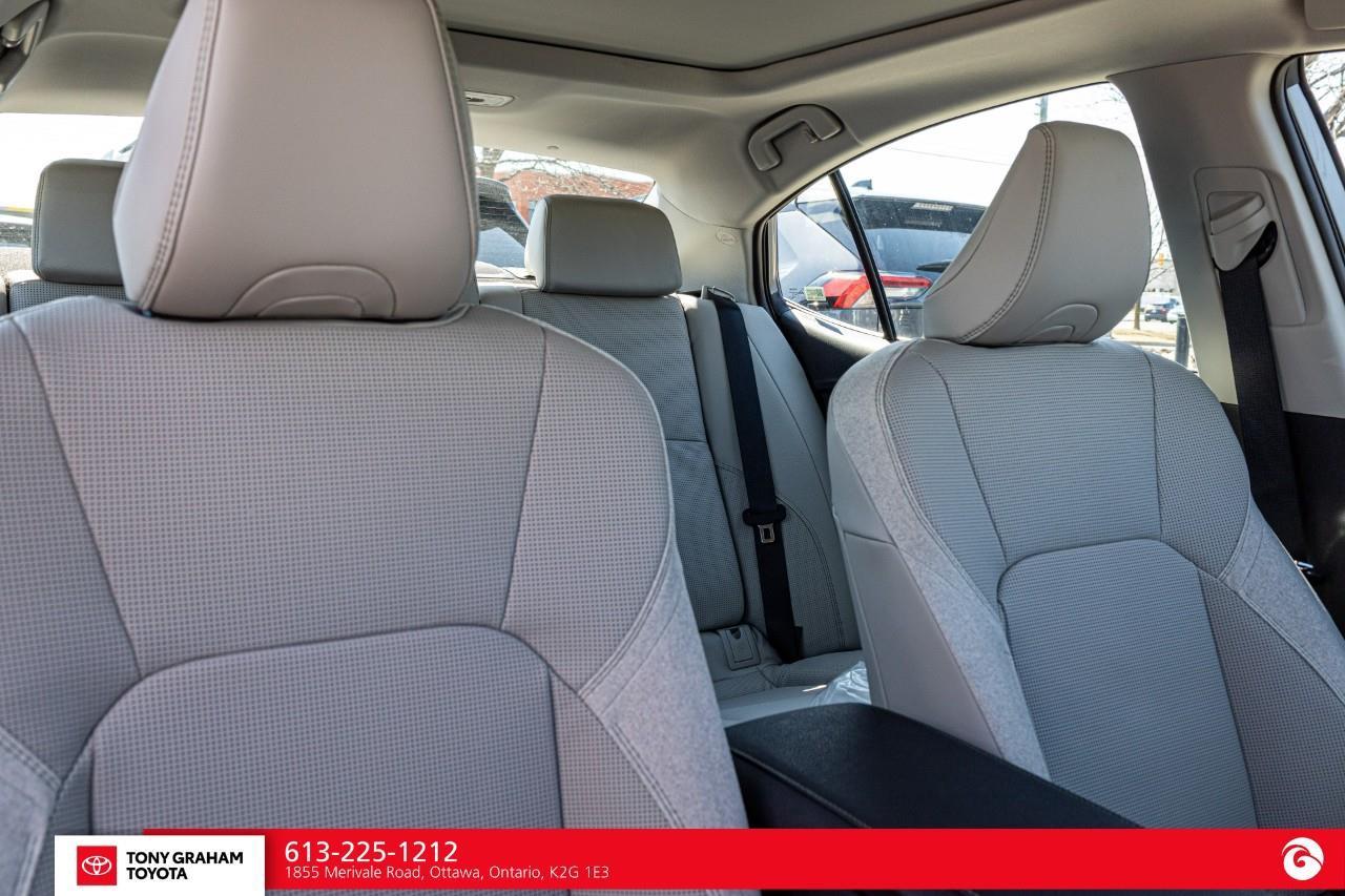 2026 Toyota Camry XLE Photo