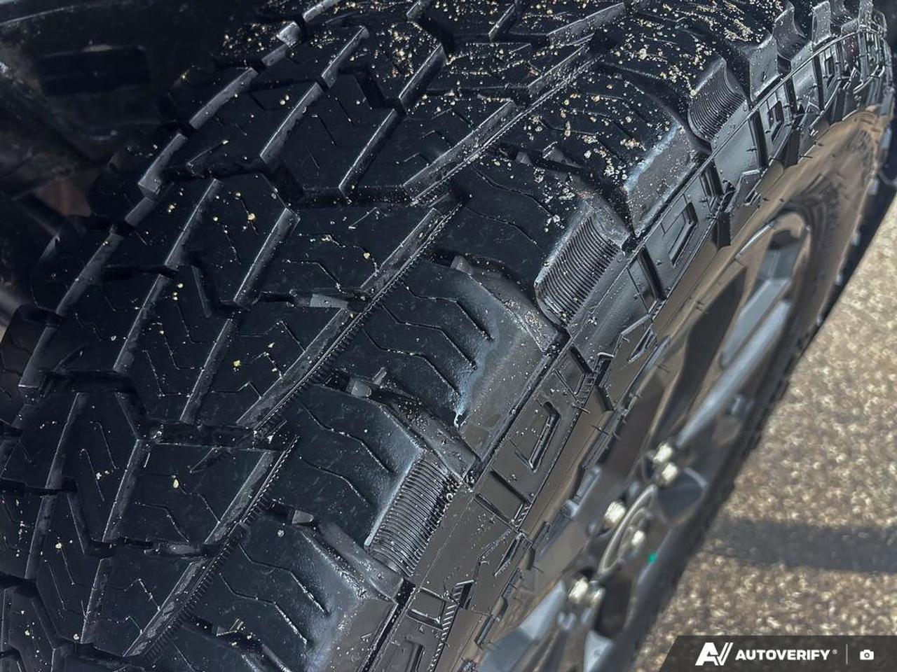 2022 Toyota Tundra Platinum | | Premium Sound System | Photo