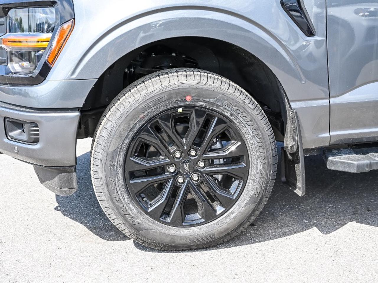 2026 Ford F-150 XLT Photo