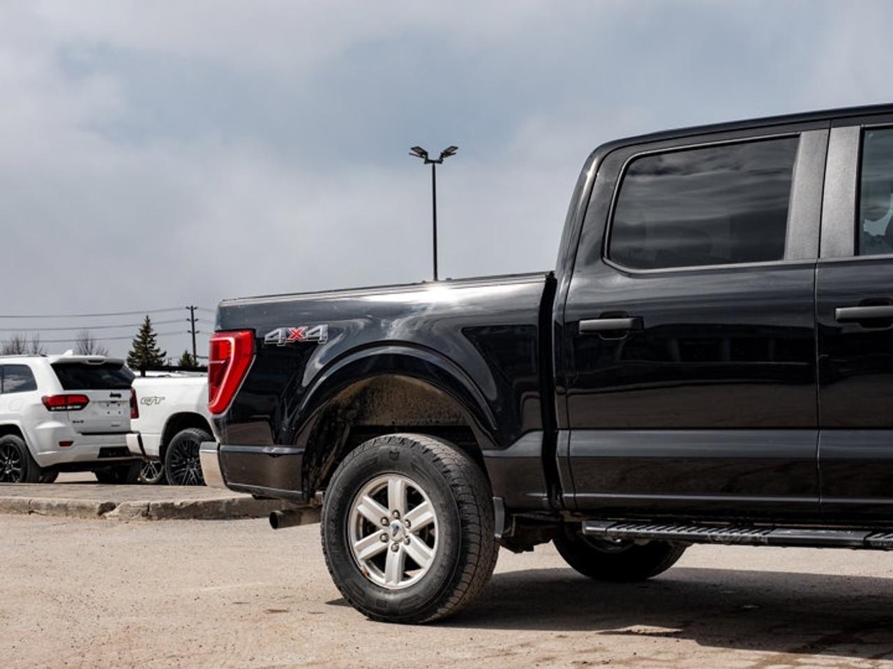 2022 Ford F-150  Photo