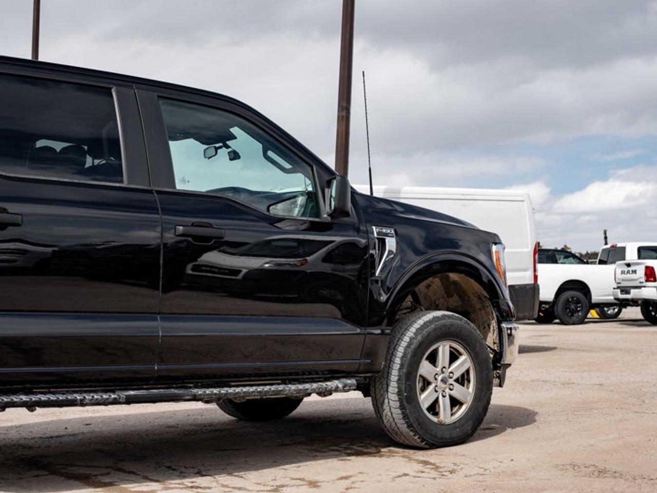 2022 Ford F-150  Photo