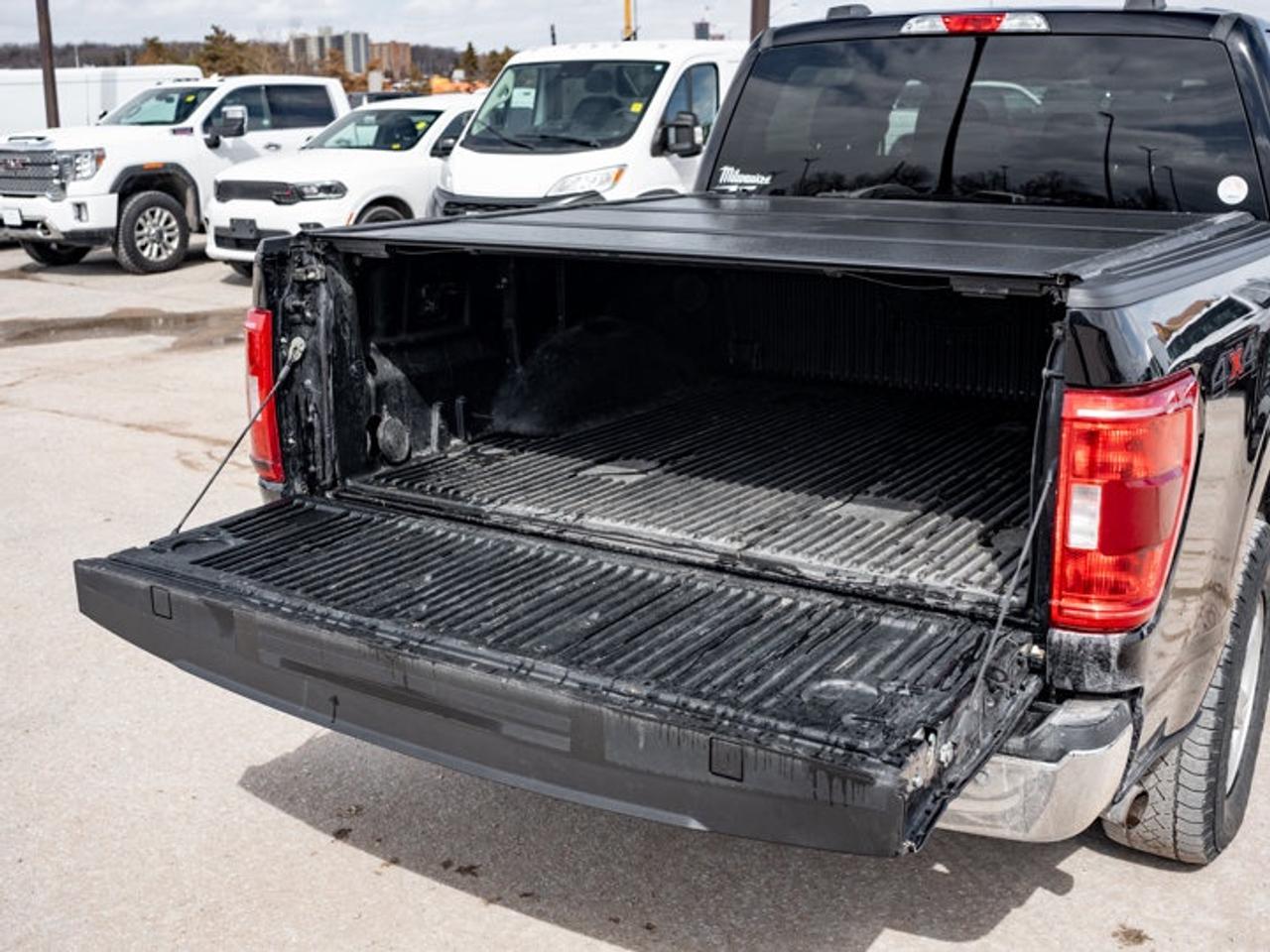 2022 Ford F-150  Photo