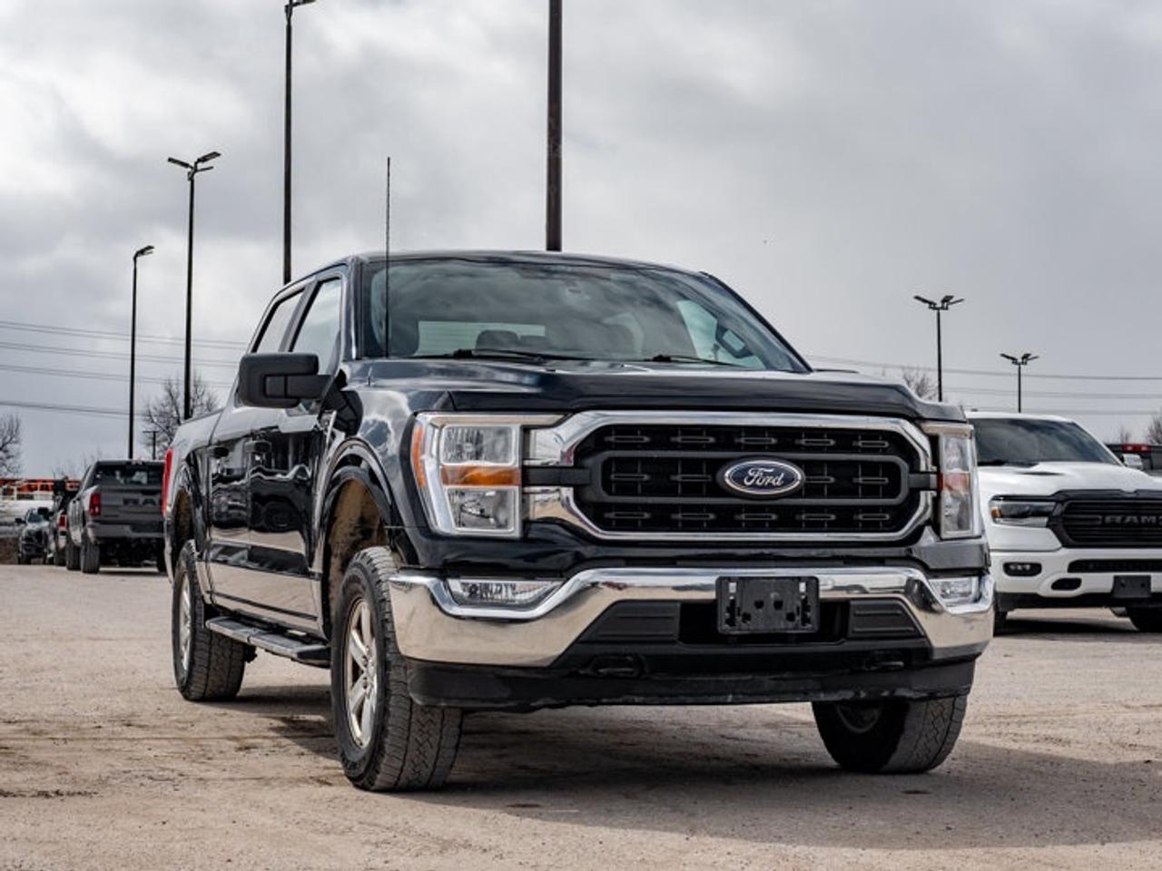 2022 Ford F-150  Photo