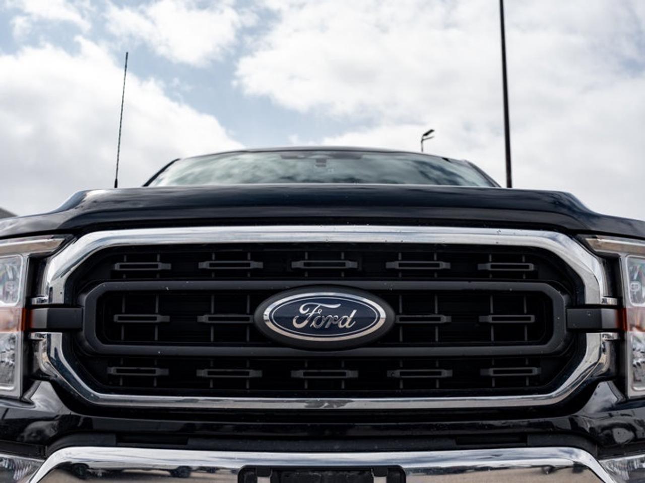 2022 Ford F-150  Photo