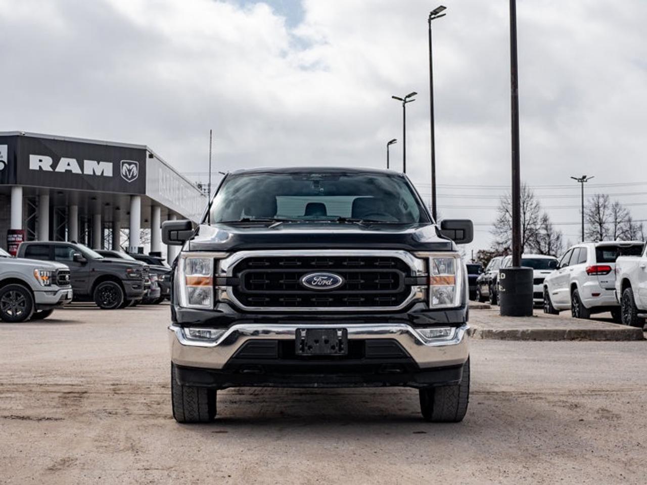 2022 Ford F-150  Photo