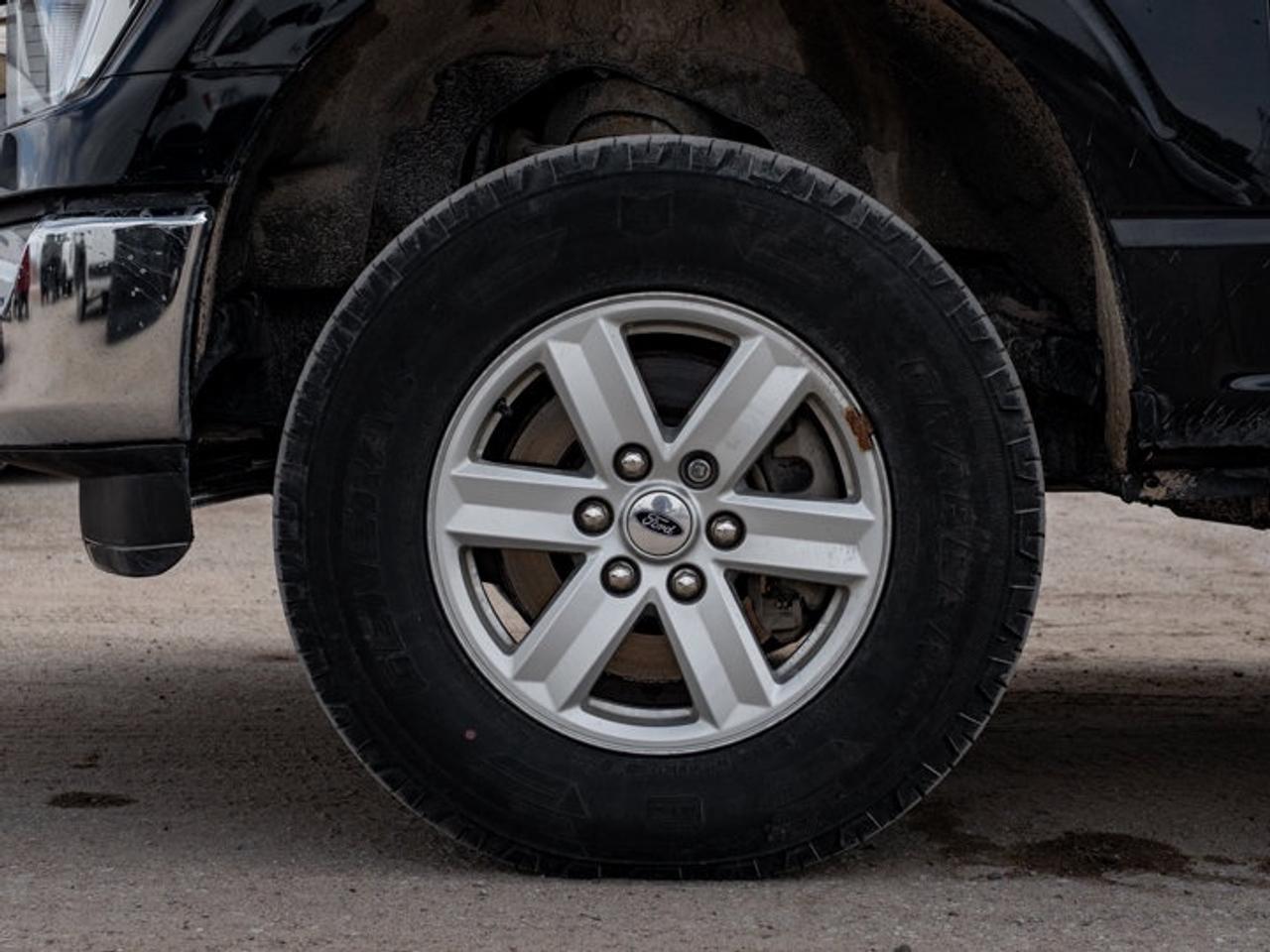 2022 Ford F-150  Photo