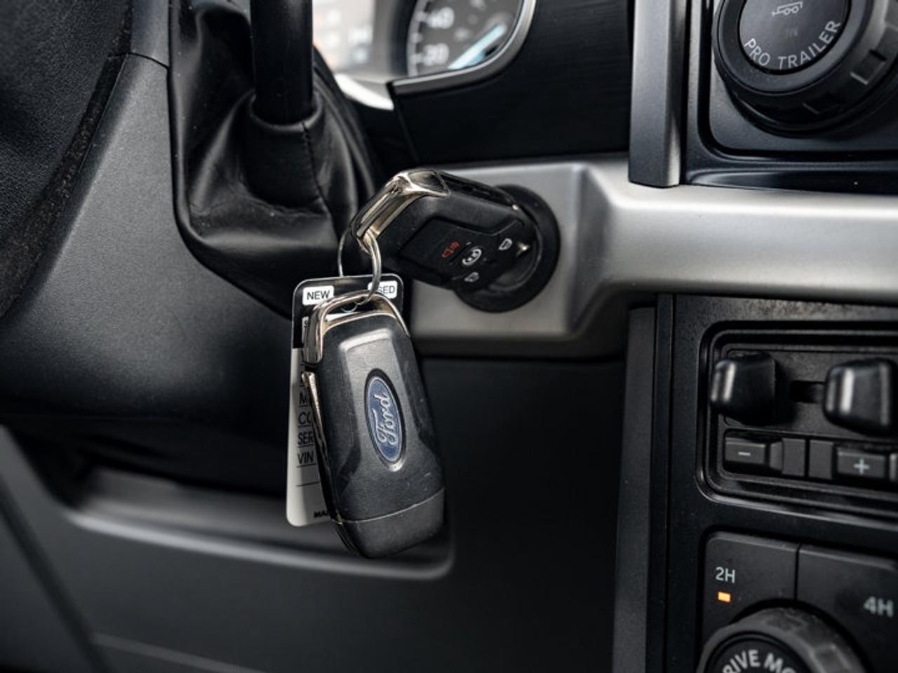 2022 Ford F-150  Photo