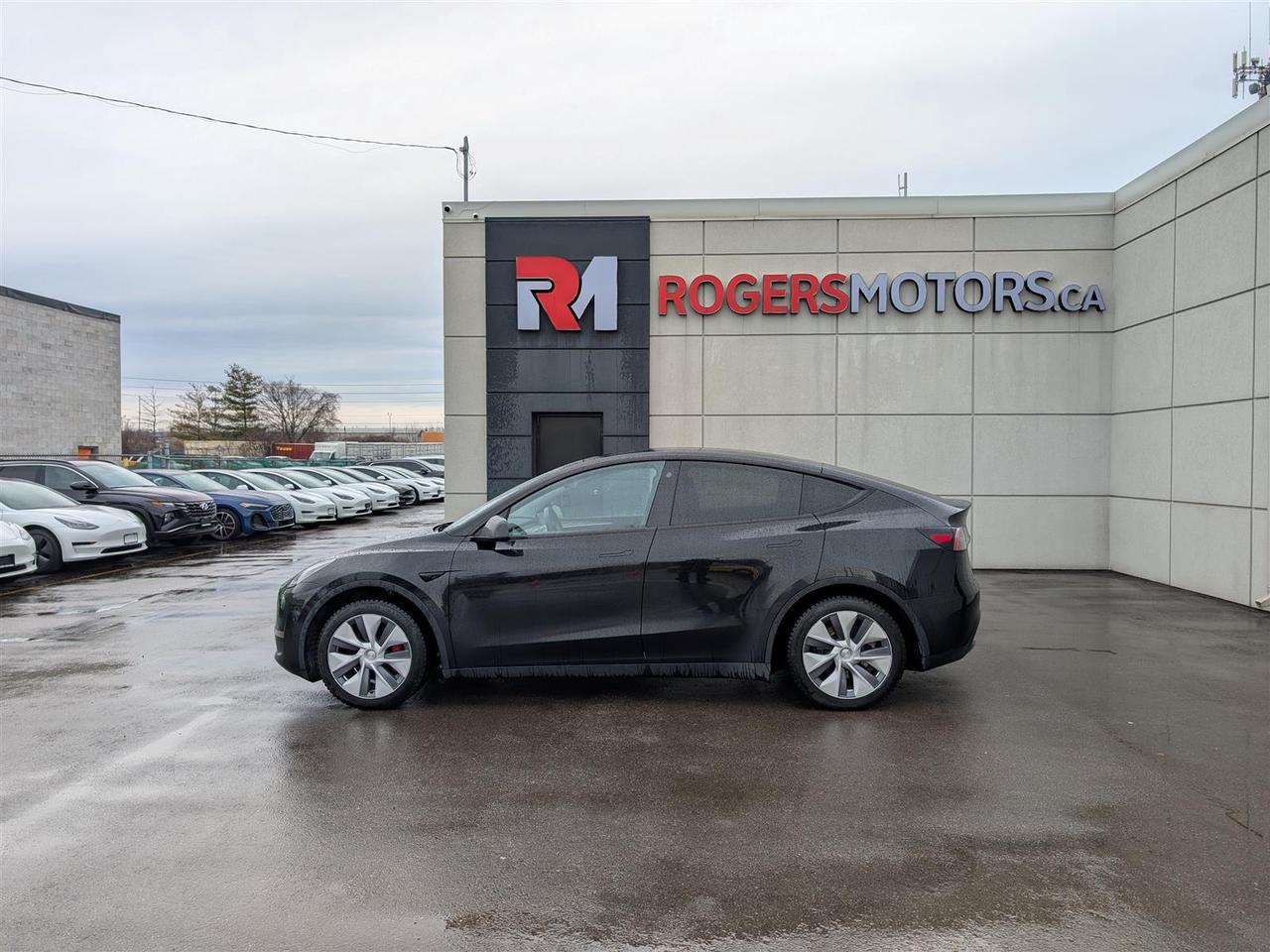 2023 Tesla Model Y STANDARD Photo