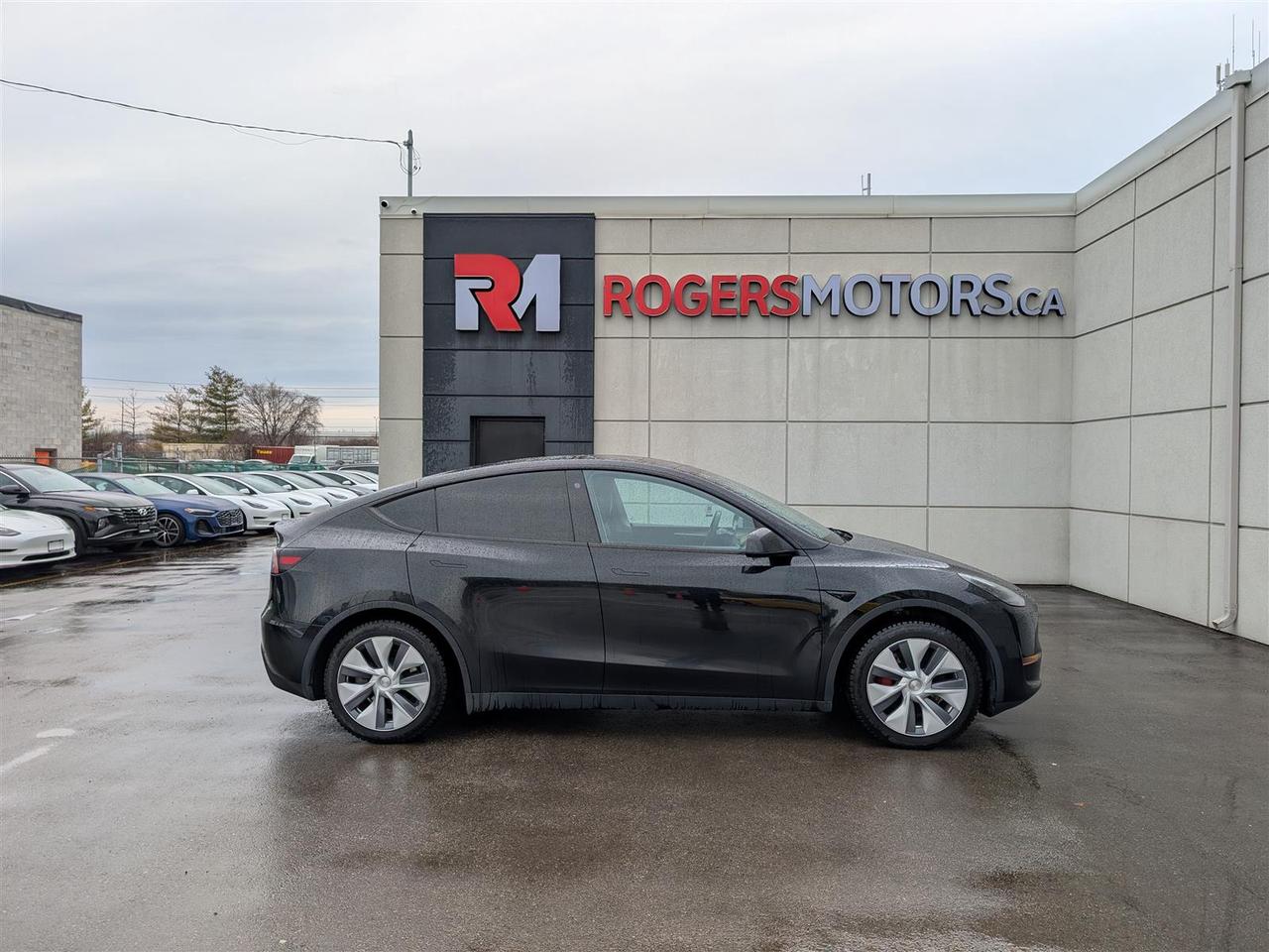 2023 Tesla Model Y STANDARD Photo