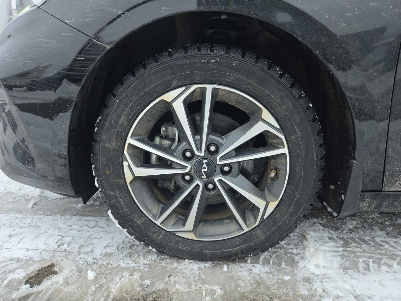 2024 Kia Forte EX Photo