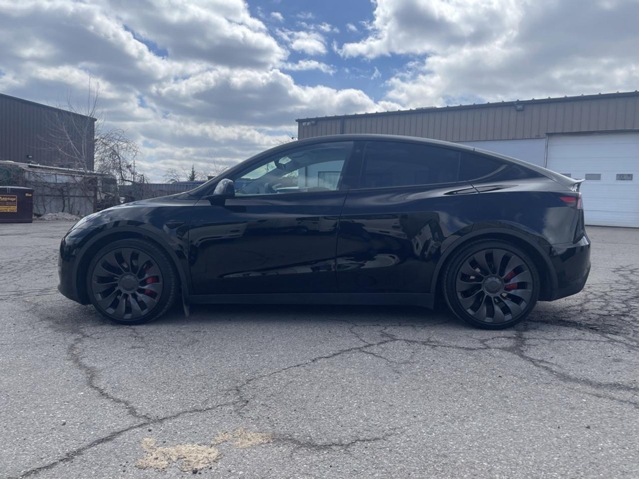 2023 Tesla Model Y Performance AWD   1 Owner! Clean! No Extra Fees! Photo