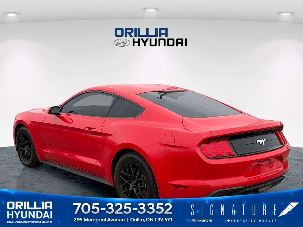 2018 Ford Mustang EcoBoost Fastback Photo