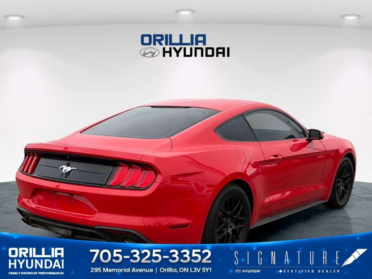 2018 Ford Mustang EcoBoost Fastback Photo