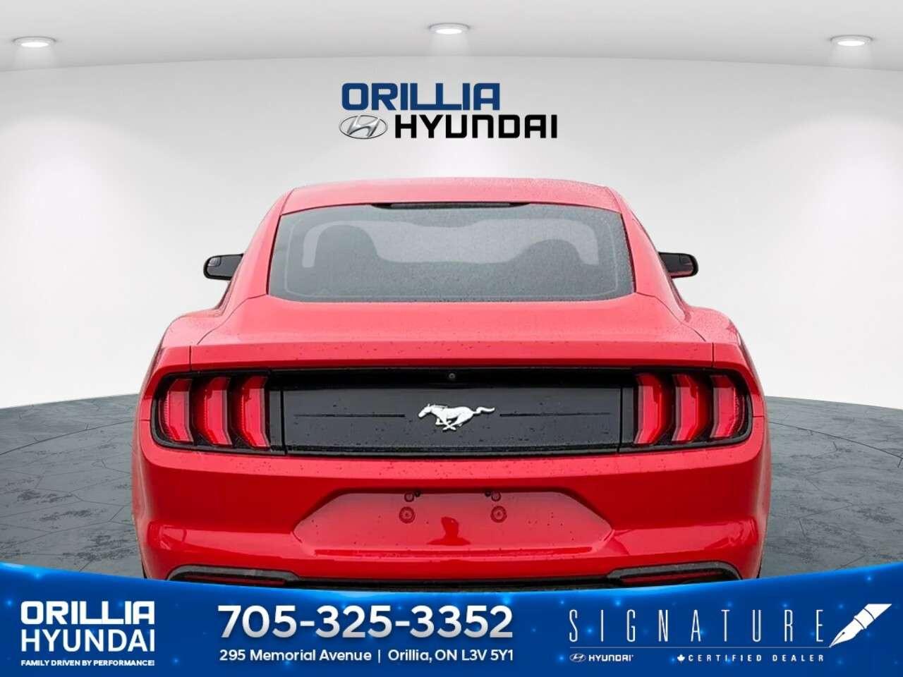 2018 Ford Mustang EcoBoost Fastback Photo
