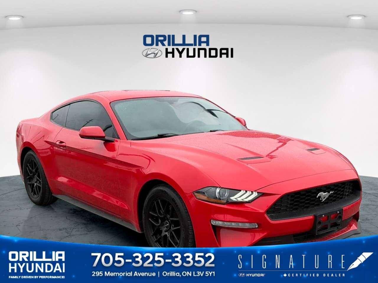 2018 Ford Mustang EcoBoost Fastback Photo