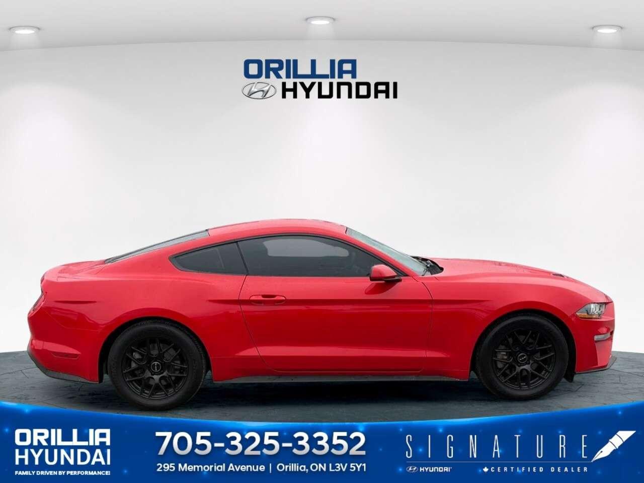 2018 Ford Mustang EcoBoost Fastback Photo