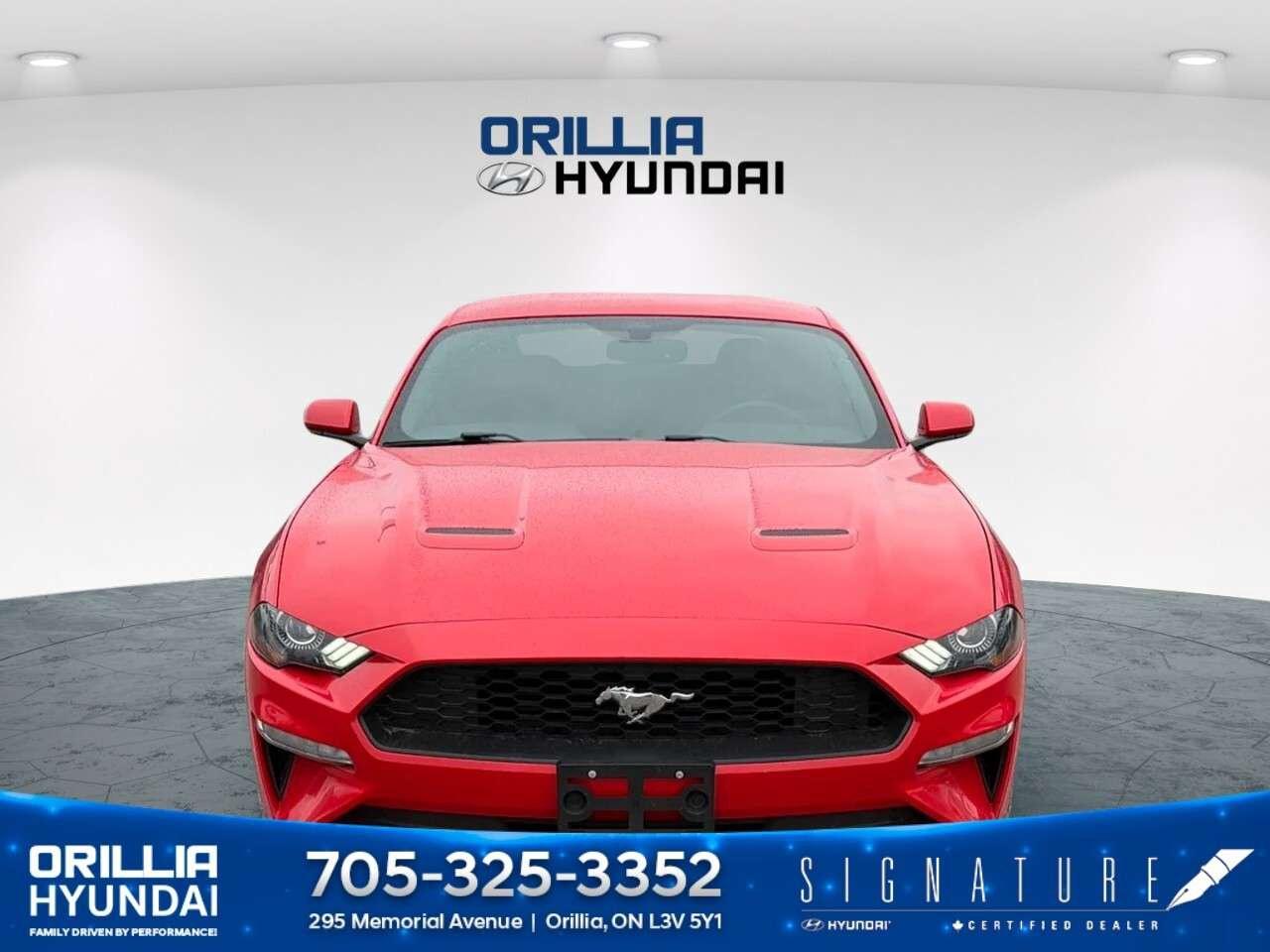 2018 Ford Mustang EcoBoost Fastback Photo