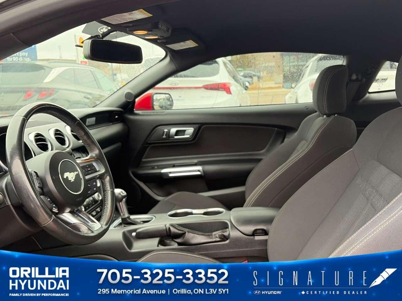 2018 Ford Mustang EcoBoost Fastback Photo