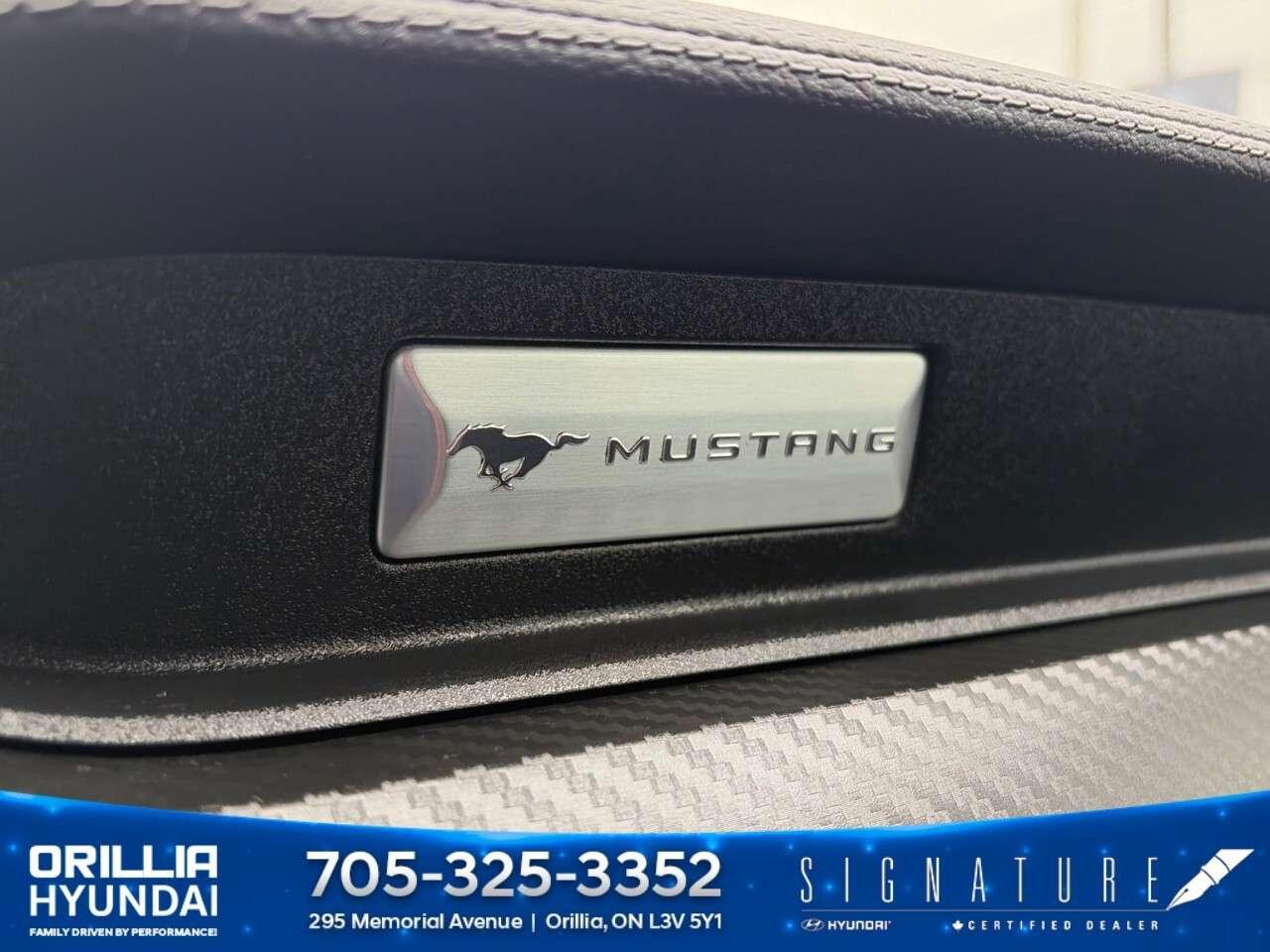 2018 Ford Mustang EcoBoost Fastback Photo