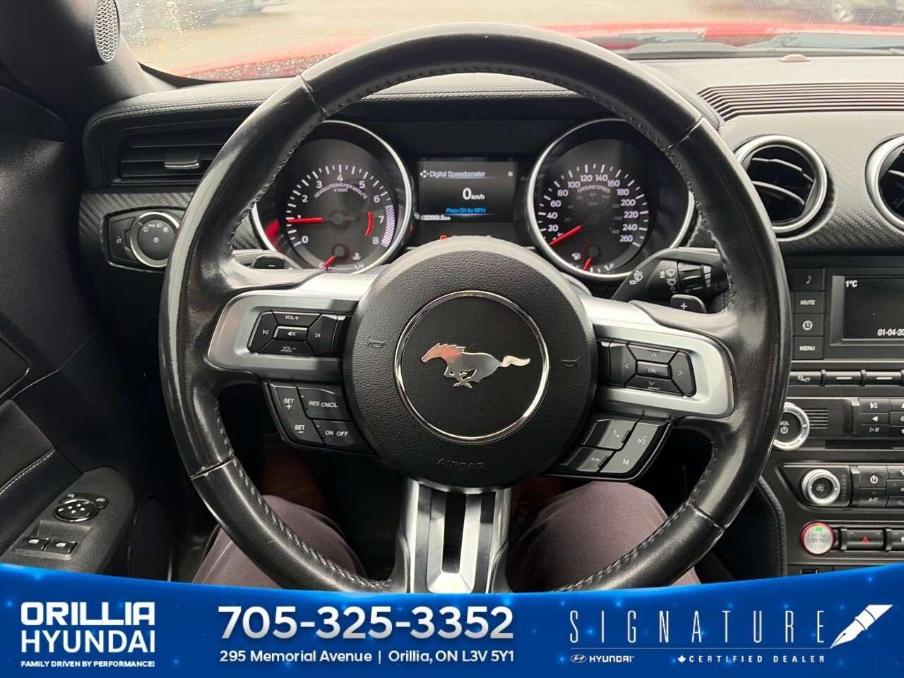 2018 Ford Mustang EcoBoost Fastback Photo