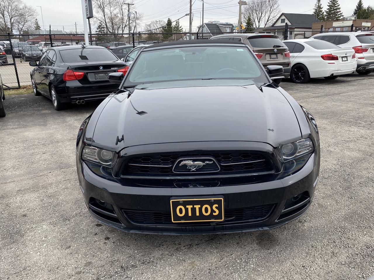 2014 Ford Mustang 2DR CONV V6 PREMIUM Photo