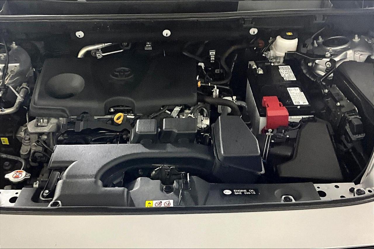 2024 Toyota RAV4 LE AWD Photo