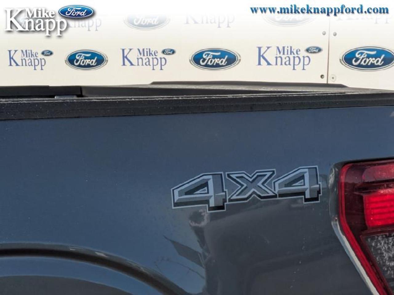 2026 Ford F-150 XLT Photo