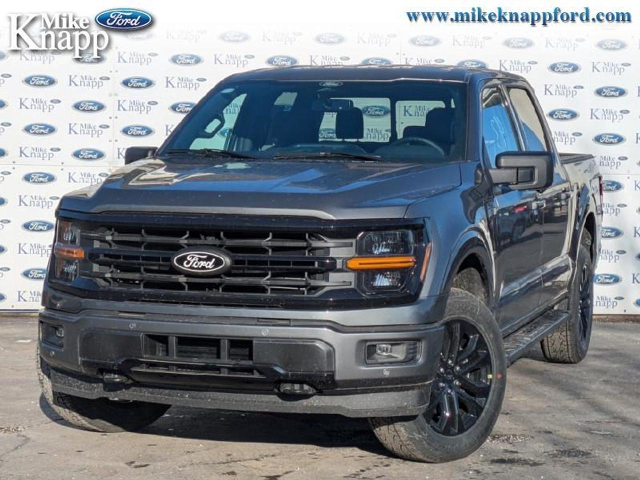 2026 Ford F-150 XLT Photo