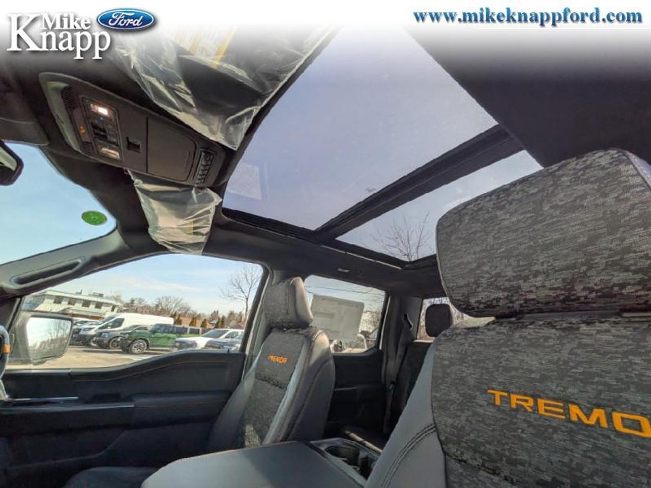 2026 Ford F-150 Tremor Photo