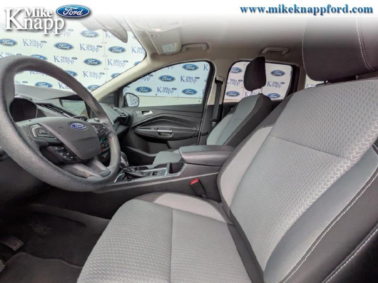 2019 Ford Escape SE 4WD Photo