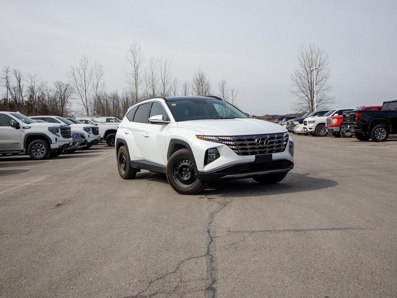 2024 Hyundai Tucson Plug-In Hybrid Ultimate - Moonroof Photo